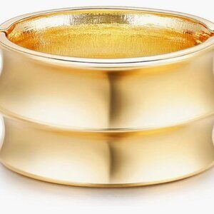 Chunky Thick Opening Twist Angel Feather Cuff Bangle Bracelet for Women